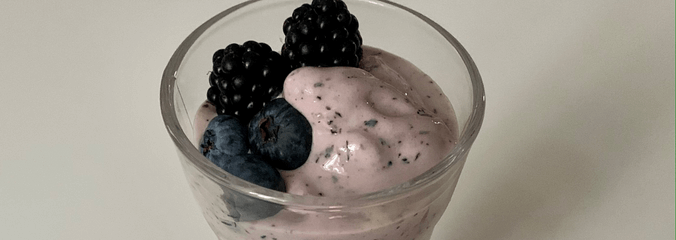 Protein blueberry ice cream